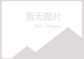 平阳县冰夏金属有限公司